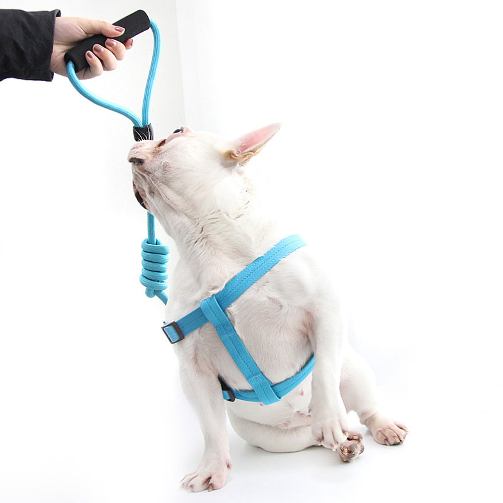 Nisrada Dog Leash Slip Rope Lead Leash Strong Heavy Duty Braided Rope No Pull Training Lead Leashes for Medium Large Dogs