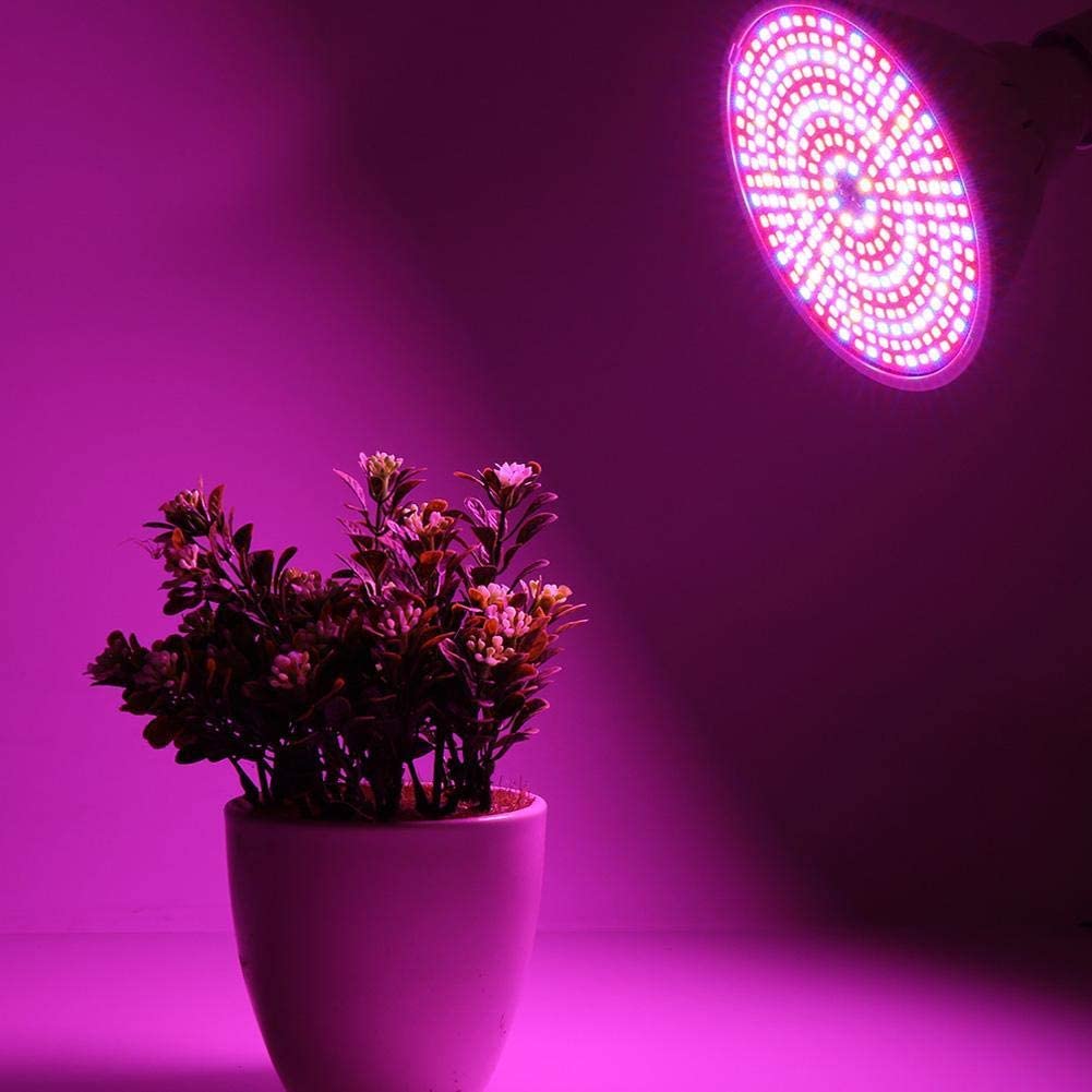 RENGAC 100W E27 LED Grow Light Bulb with 290Pcs LEDs Full Spectrum Plants Grow Lamp for Indoor Plants, Seedling,Growing, Blooming, Fruiting