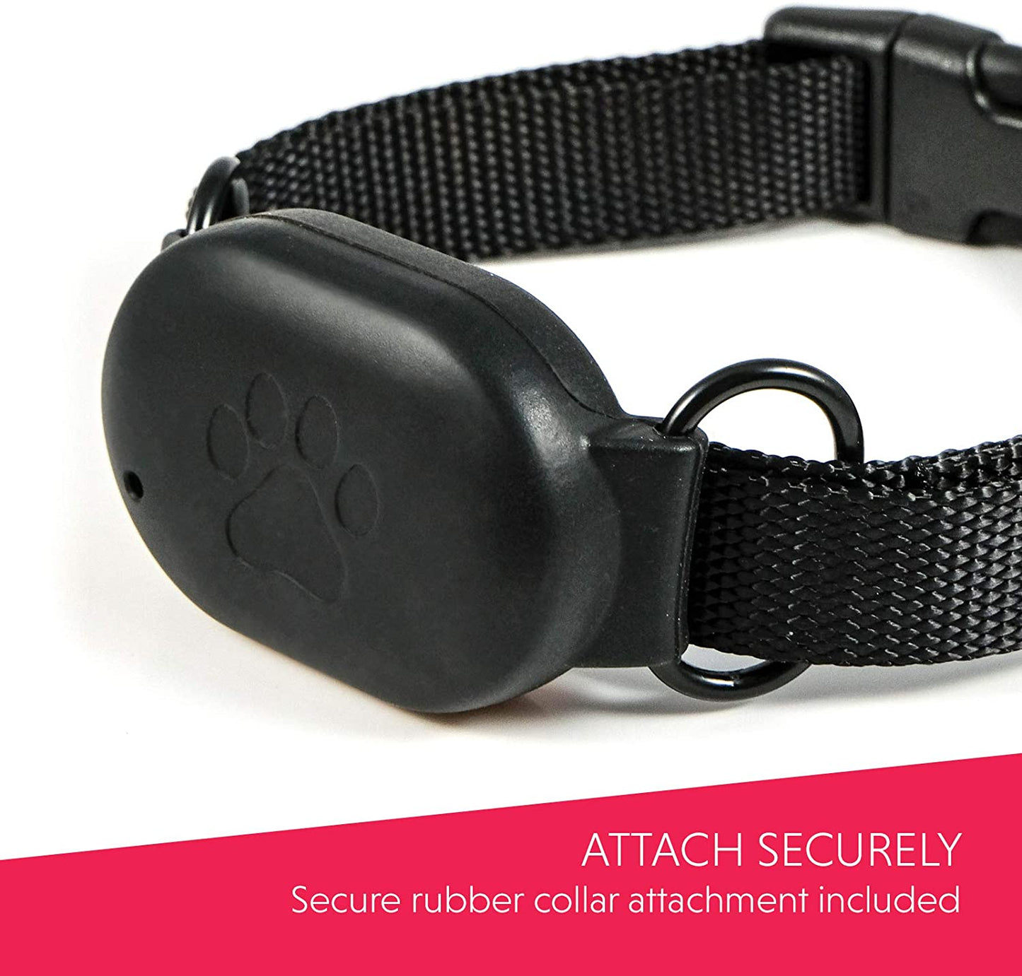 Charlore CAT GPS Tracker for cats, Lightest UK tracker (23g), Unlimited Range, Free & Shareable App, UK Support