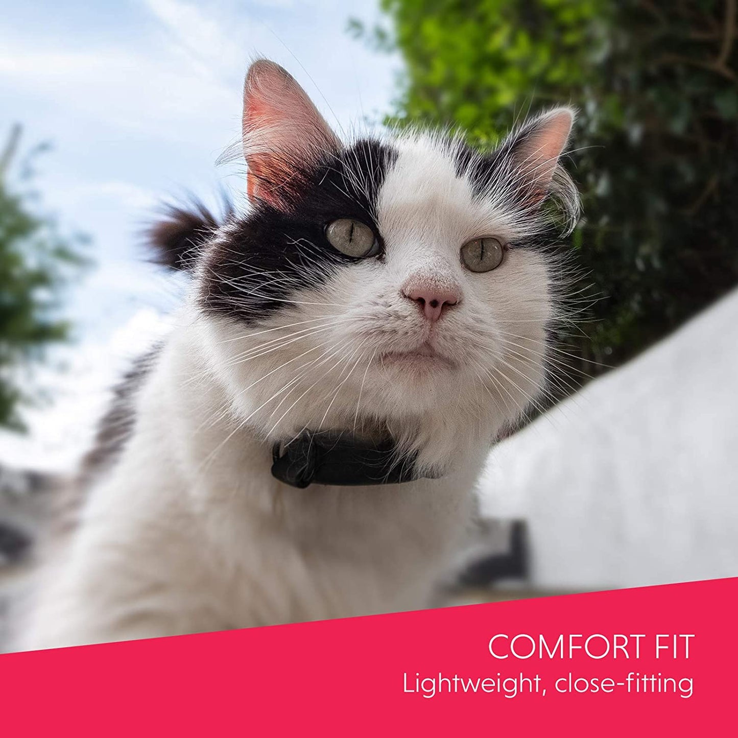 Charlore CAT GPS Tracker for cats, Lightest UK tracker (23g), Unlimited Range, Free & Shareable App, UK Support