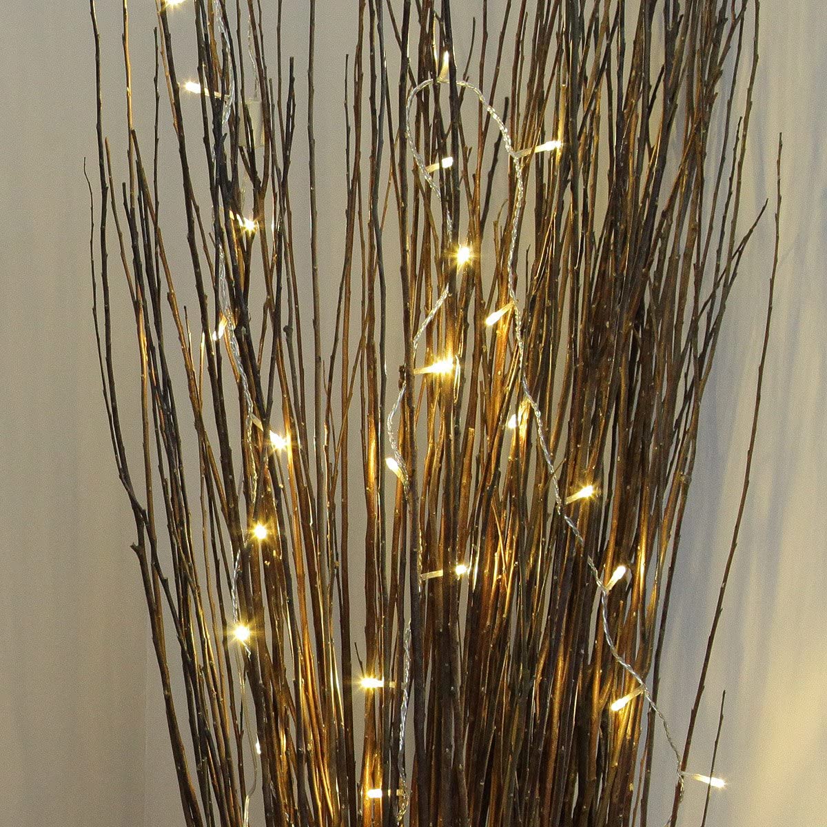 RENGAC Festive Lights Indoor Fairy Lights - 40 Warm White LEDs - Clear Cable