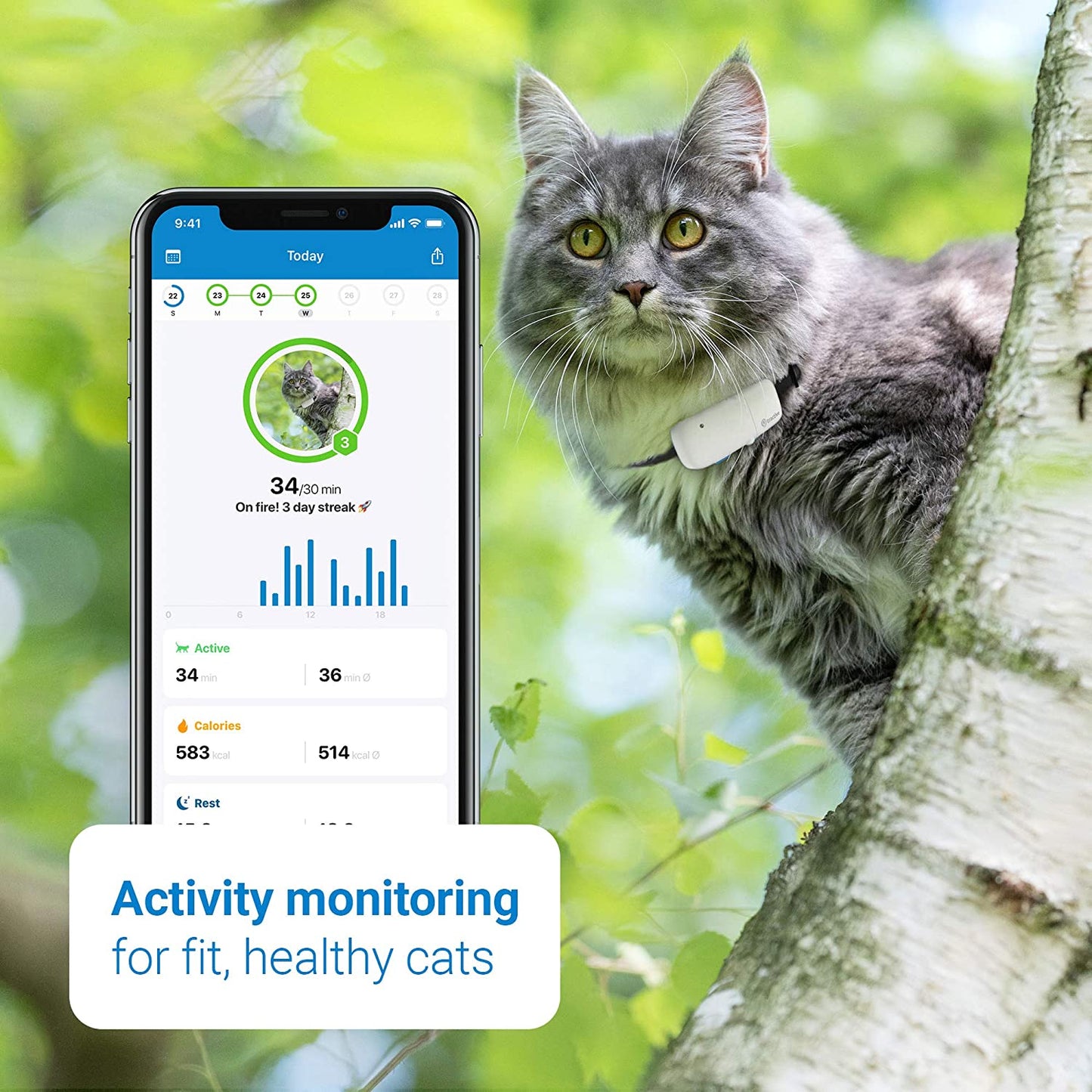 Taoriggs GPS Cat Tracker (2021) with Custom Cat Collar, Follow them Everywhere, 24/7 Location and 365-day History