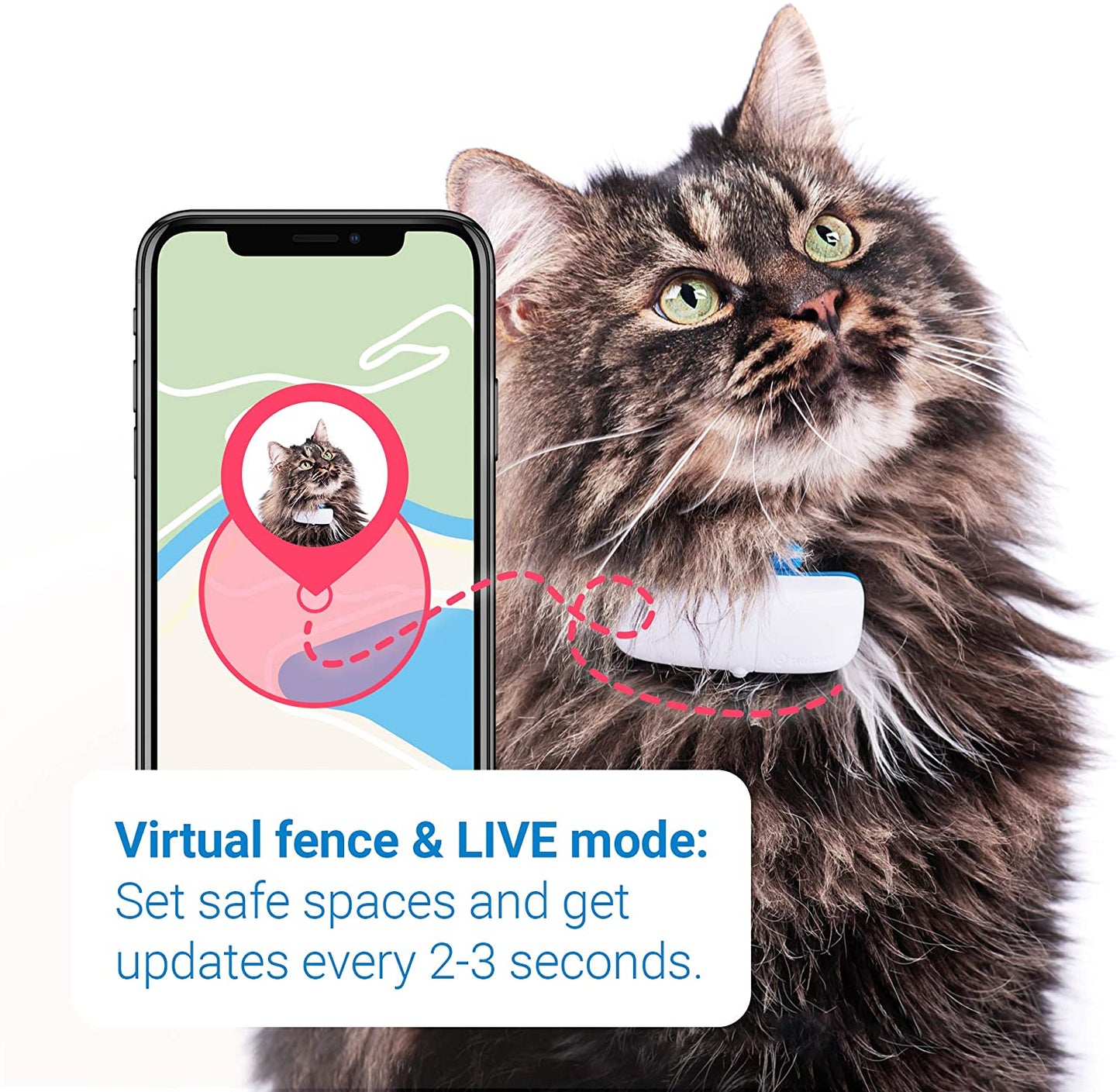 Taoriggs GPS Cat Tracker (2021) with Custom Cat Collar, Follow them Everywhere, 24/7 Location and 365-day History