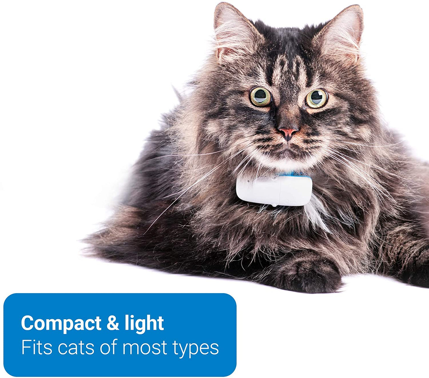 Taoriggs GPS Cat Tracker (2021) with Custom Cat Collar, Follow them Everywhere, 24/7 Location and 365-day History